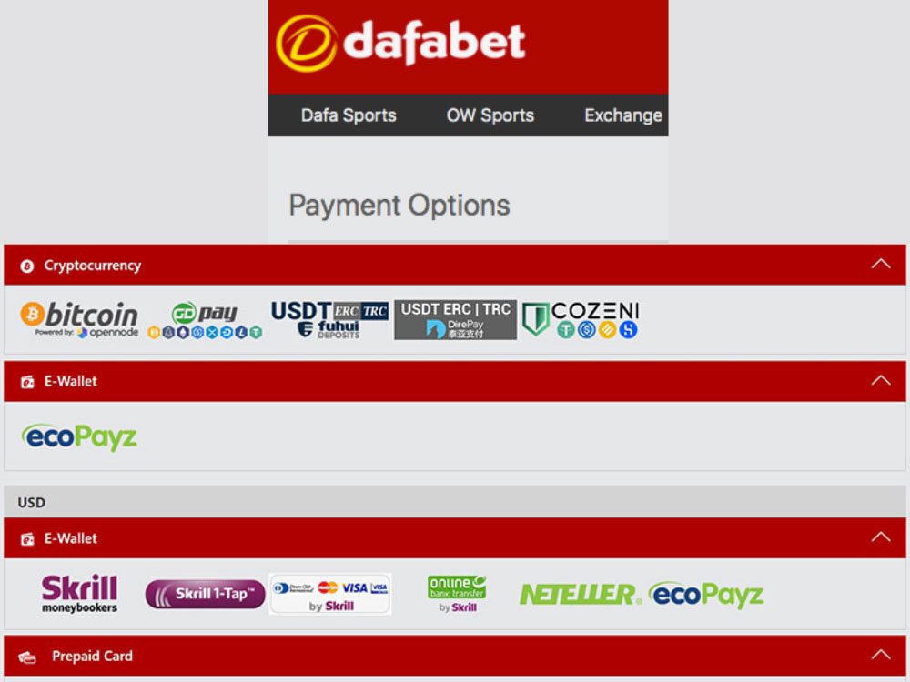 Payment options Dafabet